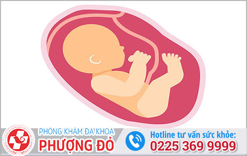 Cách phá thai 21 tuần không ảnh hưởng sinh sản sau này