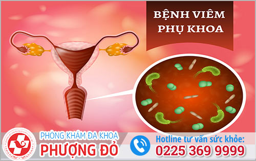 Nguyên Nhân, Triệu Chứng Đau Vùng Kín