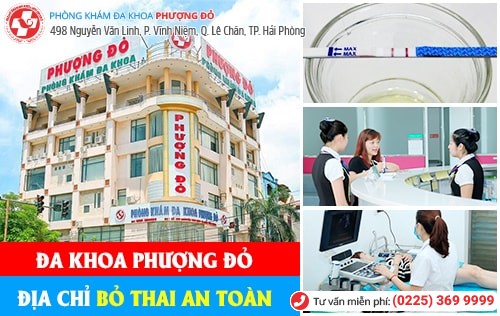 Phòng Khám Đa Khoa Phượng Đỏ Địa Chỉ Khám Chữa Bệnh Uy Tín Tại Hải Phòng