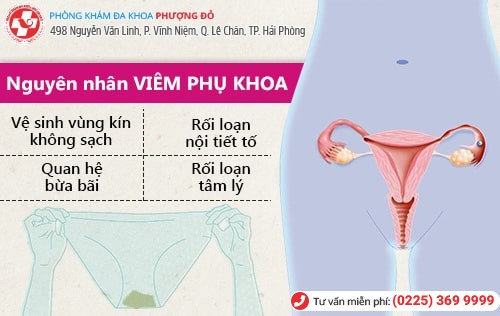 Hỏi đáp chi tiết về bệnh viêm phụ khoa