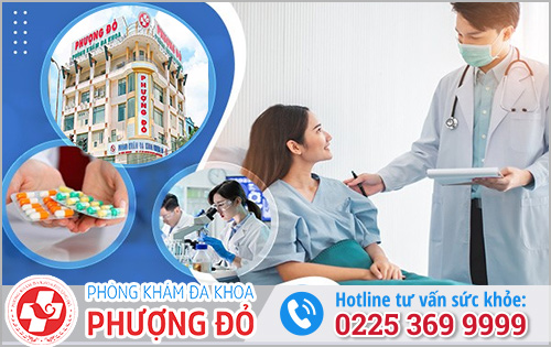 Đa Khoa Phượng Đỏ Hỗ Trợ Điều Trị Nhiễm Trùng Đường Tiểu Ở Nữ Giới