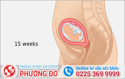 Phá Thai 15 Tuần Và Những Lưu Ý