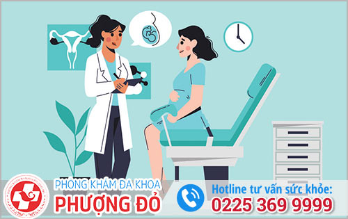 Địa Chỉ Nong – Gắp Thai 17 Tuần An Toàn Ở Hải Phòng