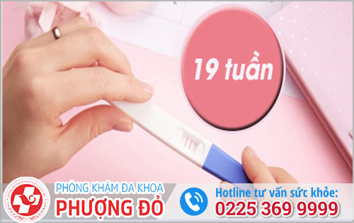 Phá Thai 19 Tuần Hiện Nay Có Thực Hiện Được Không?