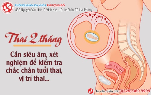 Cách phá thai 2 tháng