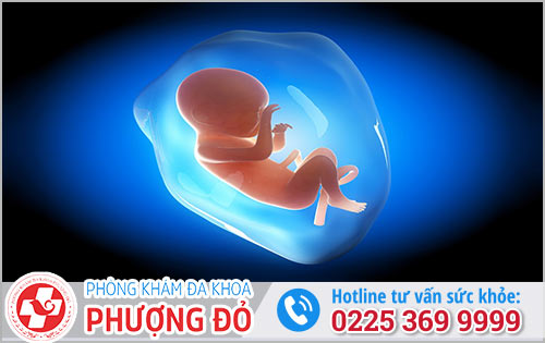 Phá Thai 7 Tháng Tuổi Được Không?