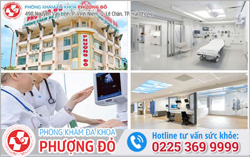 Đa Khoa Phượng Đỏ Địa Chỉ Siêu Âm Bụng Chất Lượng Tại Hải Phòng