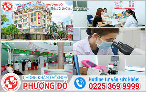 Đa Khoa Phượng Đỏ - Địa Chỉ Soi Tươi Dịch Âm Đạo Tại Hải Phòng