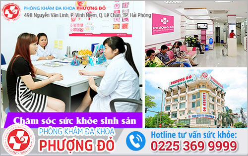 Đa Khoa Phượng Đỏ - Địa Chỉ Dành Cho Thai Phụ Tại Hải Phòng