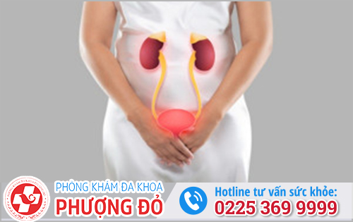Cải Thiện Tình Trạng Tiểu Không Hết