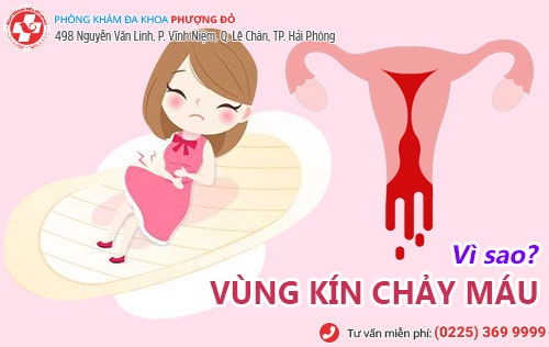 Vùng kín chảy máu là bị bệnh gì?