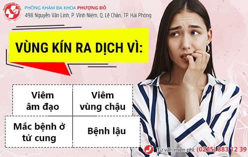 Vùng kín ra dịch là bị làm sao? Có nguy hiểm không?